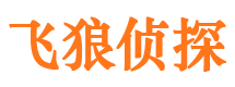 望花市私家侦探